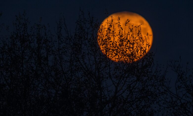 The UK’s top spooky road trips for Halloween