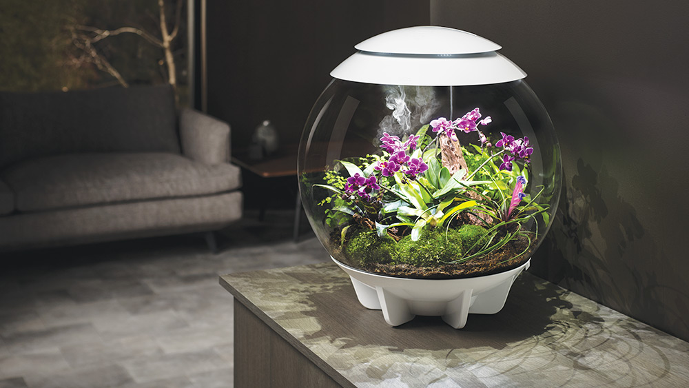 Win a biOrb AIR 60 fully automated terrarium, Worth over £349!