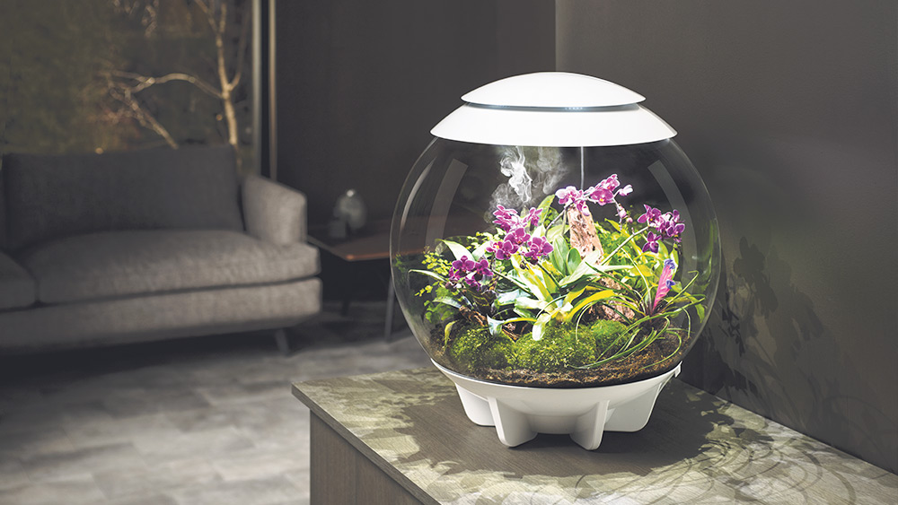 Win a biOrb AIR 60 fully-automated terrarium, Worth over £349!