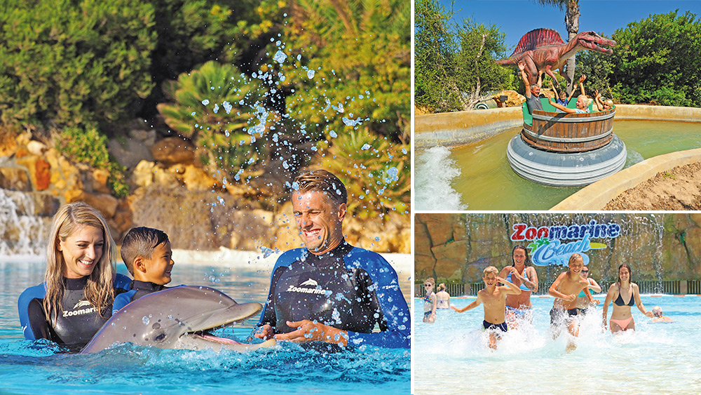 Win a Dolphin Emotions premium experience for two in the Algarve, Worth over £230!