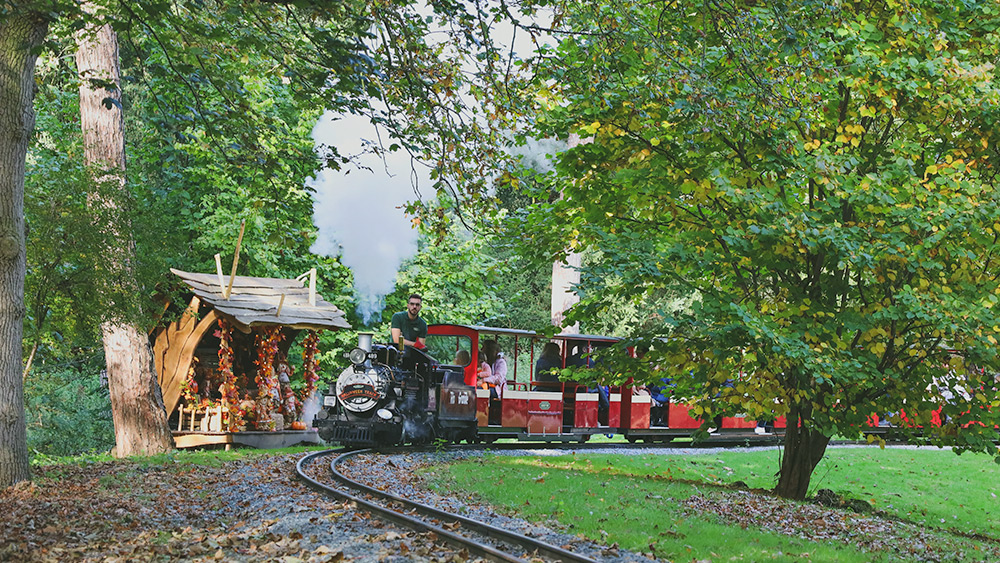 a train at the Audley End Miniature Railway