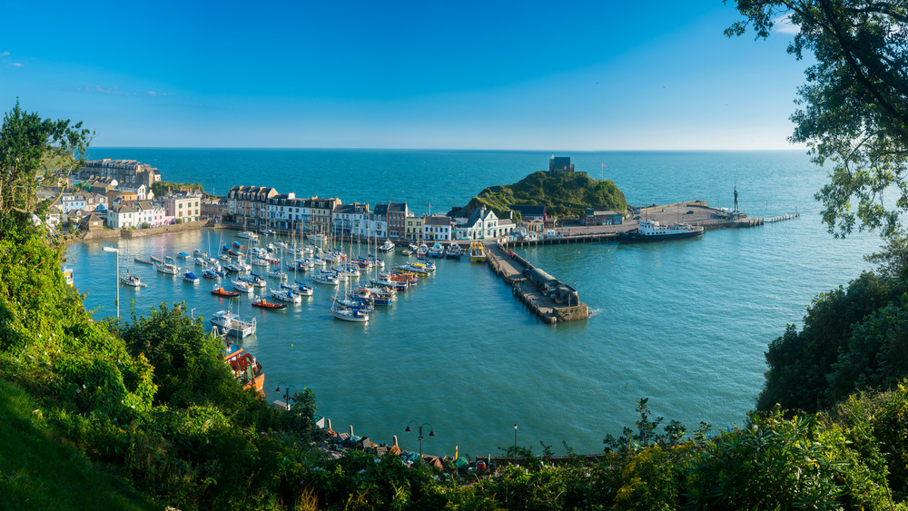an aerial view of the DEVON COASTLINE
