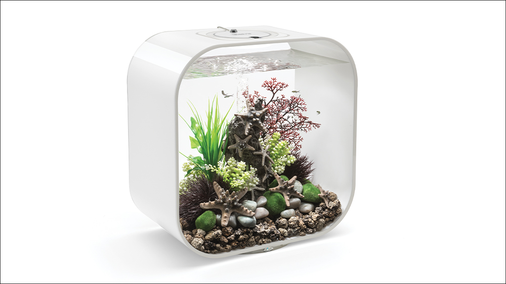 Win a biOrb LIFE 30 MCR Aquarium Worth over £239!